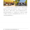 菏澤市建設工程監理咨詢有限公司簡報(174）
