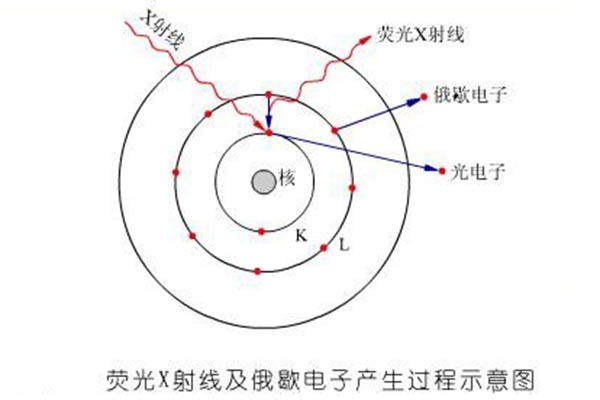 熒光X射線及俄歇電子產(chǎn)生過程示意圖 熒光X射線及俄歇電子產(chǎn)生過程示意圖