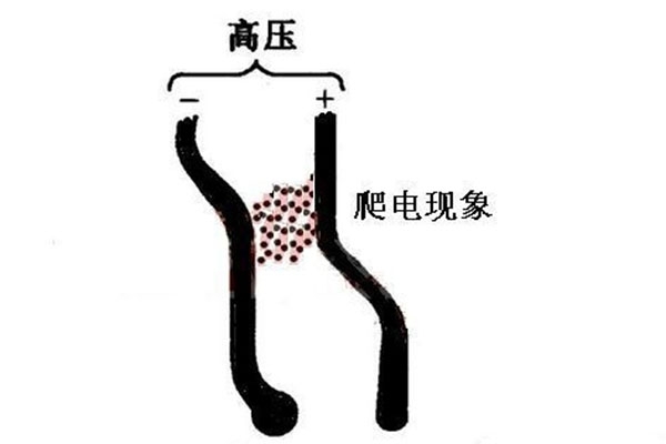 因霉菌而產生高壓爬電 因霉菌而產生高壓爬電