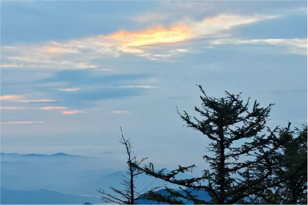 創想儀器泰山之行 創想儀器泰山之行
